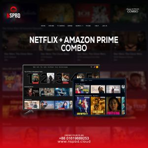 netflix-tv-plan-amazon-prime-video-combo